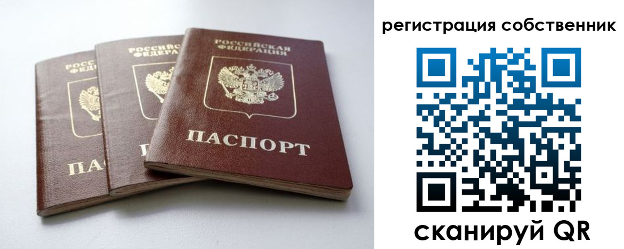 прописка для школы в Борисоглебске